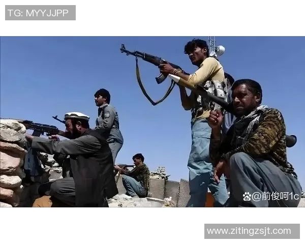 巴基斯坦与阿富汗关系的历史演变及未来展望分析